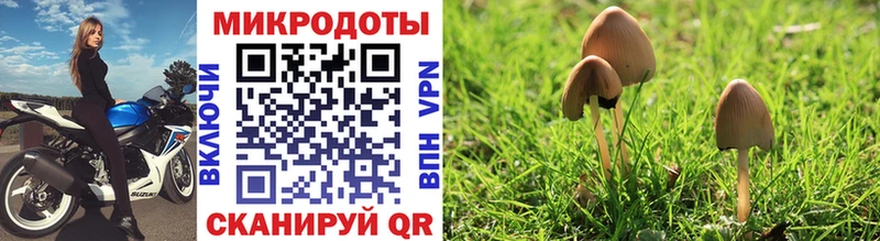 Псилоцибиновые грибы прущие грибы  наркота  МЕГА маркетплейс  Самара 