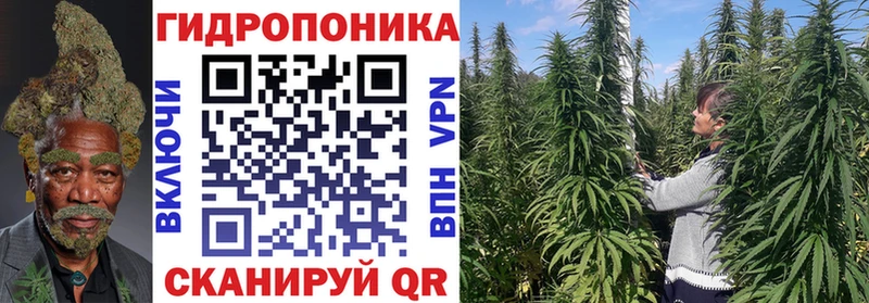 где найти наркотики Самара Марихуана тримм